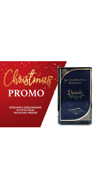 christmas-promo_davide